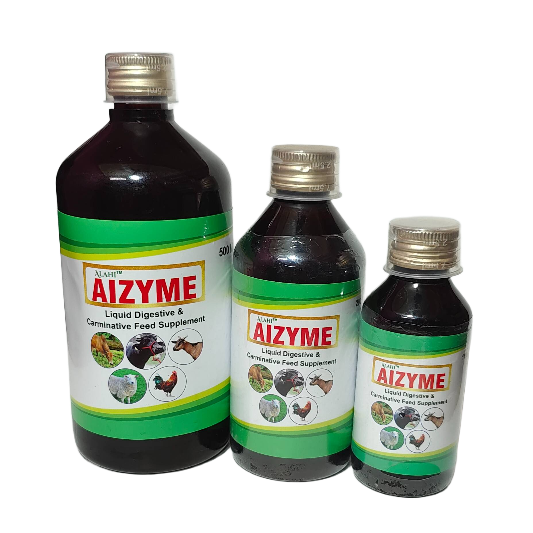 AIZYME 200 ml